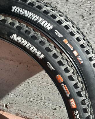 Maxxis Assegai Dissector enduro-downhill