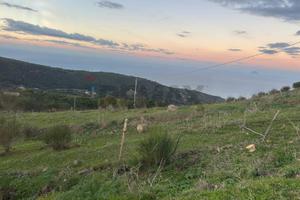 Terreno Edificabile - Pollina