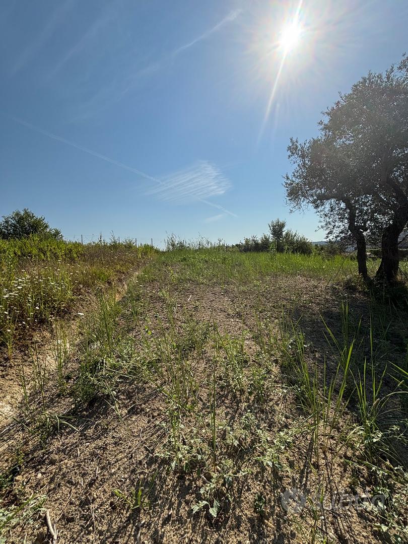Terreno Agricolo Formia (Penitro) - Vista 3