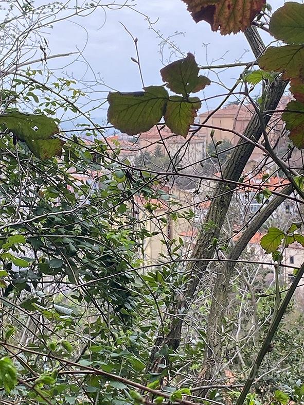 Terreno a Trieste, Cologna - Vista 3