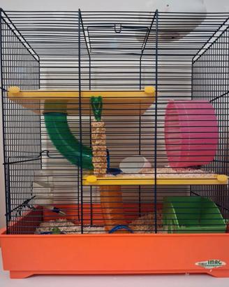 gabbia per criceto 