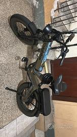 bici elettrica 