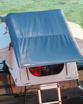 tenda da tetto Thule Tepui per auto e furgoni
