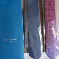 2 cravatte pacifico group napoli via santa brigida