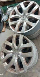 Cerchi in lega picasso