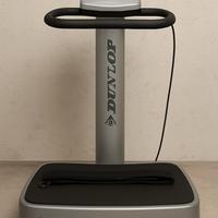 Pedana Vibrante Dunlop DKN Pro Trainer - palestra 