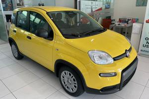 FIAT Panda 1.0 FireFly S&S Hybrid PRONTA CONSEGNA