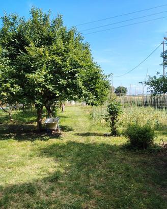 Terreno zona punta marina