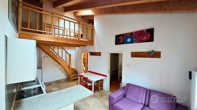 Luminoso alloggio con soppalco