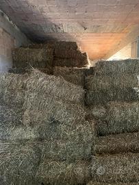 Fieno misto Avena/Sulla/Loietto