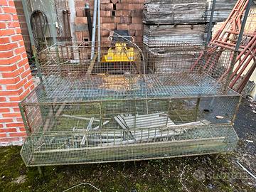 Gabbie per allevamento conogli