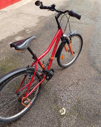 bicicletta ragazzo 