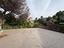 Immagine 20