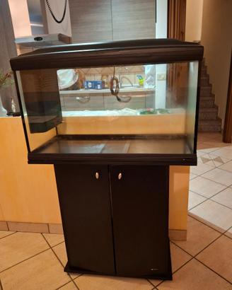 Acquario Caiman 80