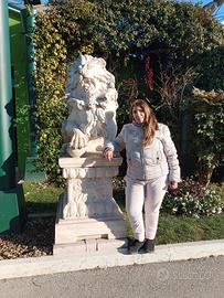 Assistente domiciliare anziani