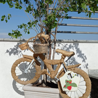 Piccola bicicletta da esposizione