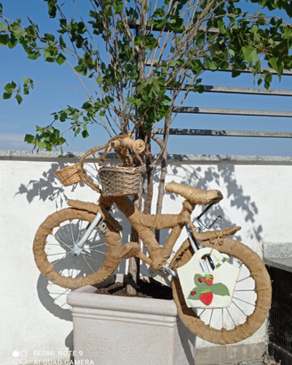 Piccola bicicletta da esposizione