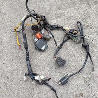 impianto elettrico beta alp