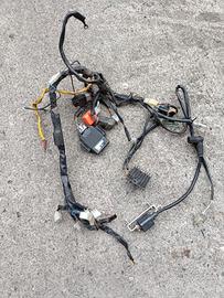 impianto elettrico beta alp