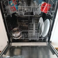 lavastoviglie REX libera installazione 
