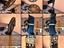 Immagine 6