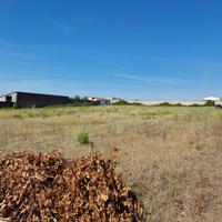 TERRENO 11.500 mq a TUSCANIA (VT) SP3 km 2.2