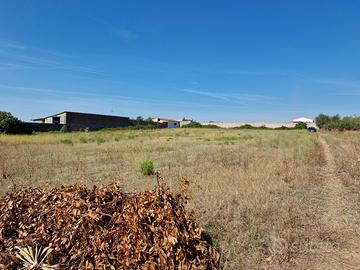 TERRENO 11.500 mq a TUSCANIA (VT) SP3 km 2.2