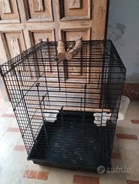 gabbia 