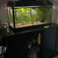 Acquario 120l con mobile