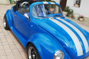 Maggiolino speedster