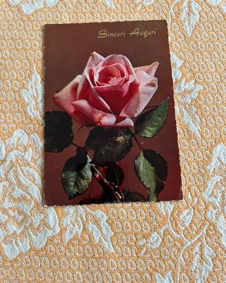 Cartolina auguri con Rosa
