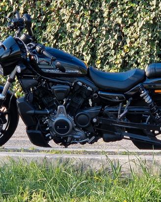 Harley Davidson Nightster 975 2023