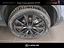 Immagine 7