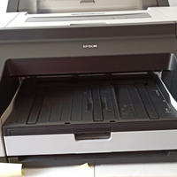 Epson:Stampante fotografica digitale professionale