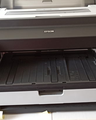 Epson:Stampante fotografica digitale professionale