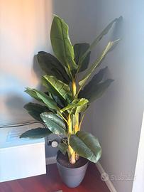 Pianta artificiale banano 160cm