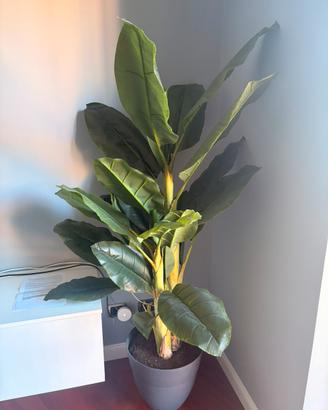 Pianta artificiale banano 160cm