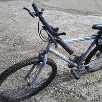 Bici esperia misura 24