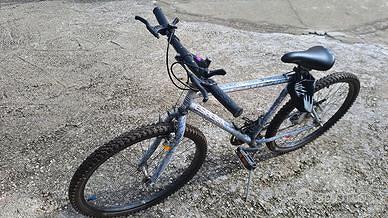 Bici esperia misura 24