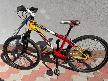 Bicicletta Mtb 24