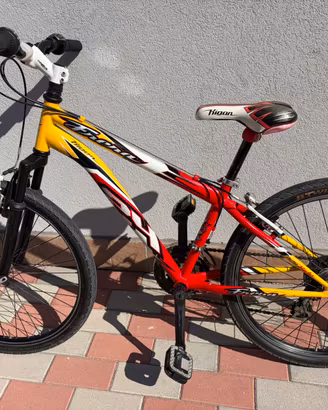 Bicicletta Mtb 24