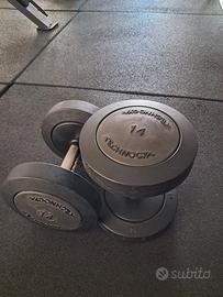 manubri technogym 