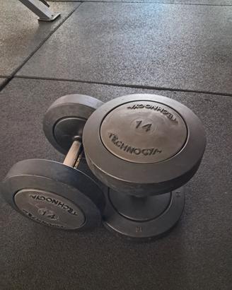 manubri technogym 