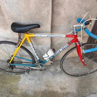 Bicicletta Olmo