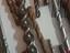 Immagine 5