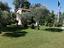 Immagine 6