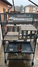 Gabbia per pappagalli o mammiferi