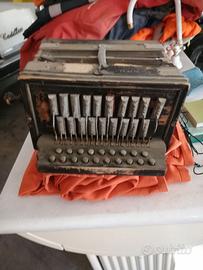 Fisarmonica the royal