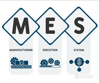 Consulente Operativo P.IVA - supply chain