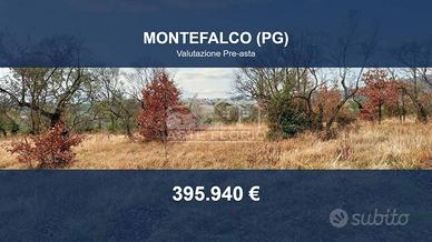 Immobile in asta di 25990 m² a Montefalco
